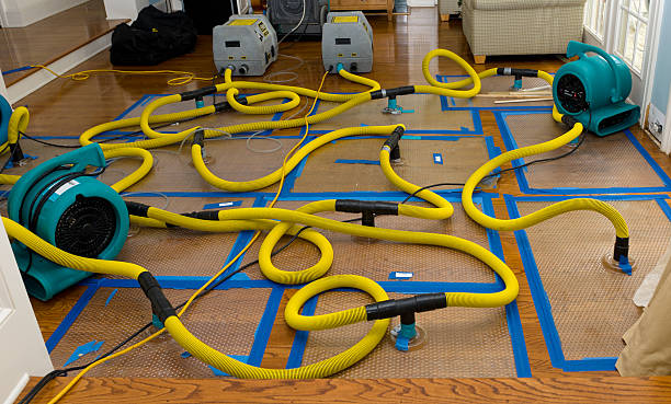 Professional Basement Flood Cleanup technician working in Pleasant Prairie, WI